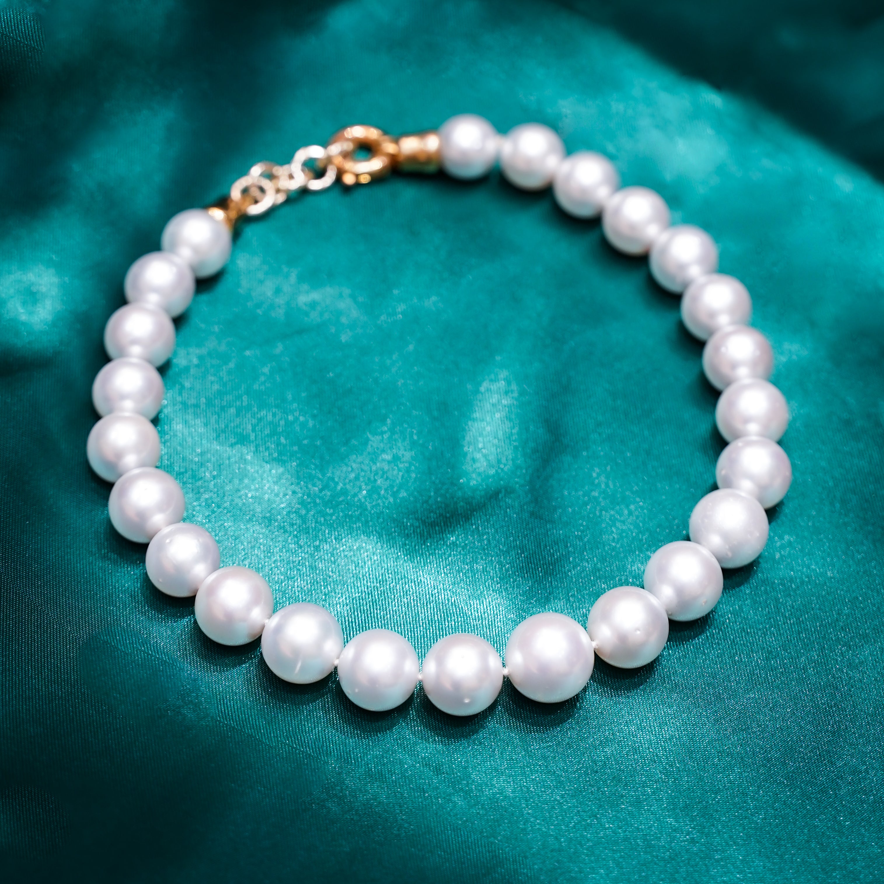 White South Sea Pearl Choker