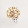 Zephyr Ring