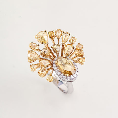 Zephyr Ring